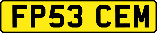 FP53CEM