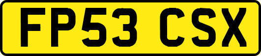 FP53CSX