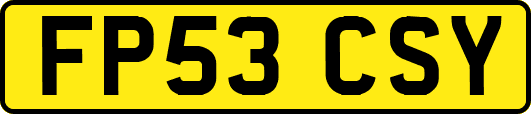 FP53CSY