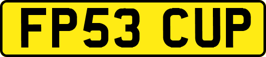 FP53CUP