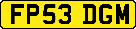 FP53DGM
