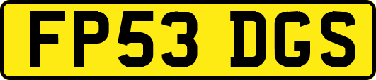 FP53DGS