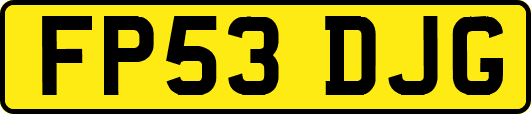 FP53DJG