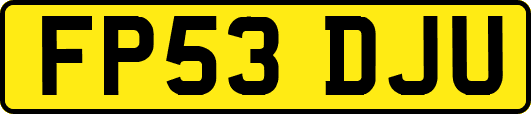 FP53DJU