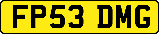 FP53DMG