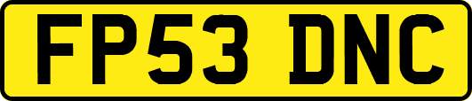 FP53DNC