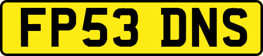 FP53DNS