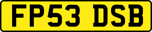 FP53DSB