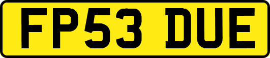 FP53DUE