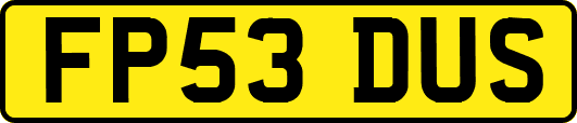 FP53DUS