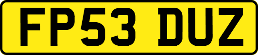 FP53DUZ