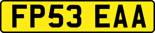 FP53EAA