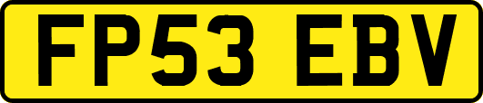 FP53EBV