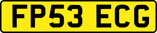 FP53ECG