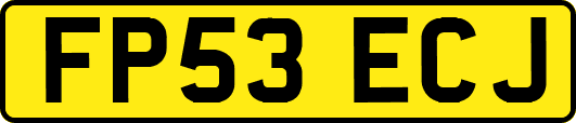 FP53ECJ