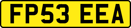 FP53EEA