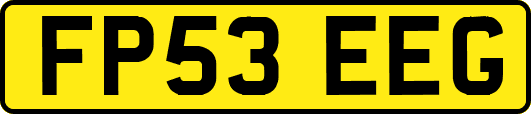 FP53EEG