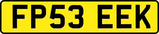 FP53EEK