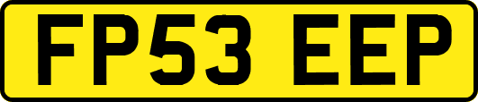 FP53EEP
