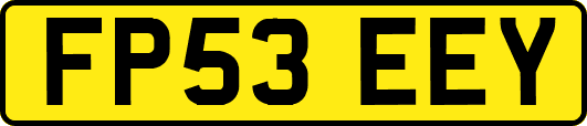 FP53EEY