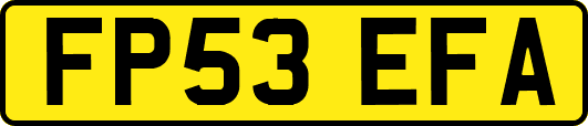 FP53EFA