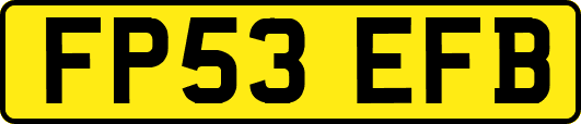 FP53EFB