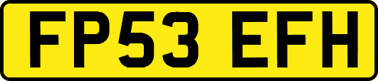 FP53EFH