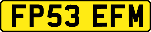 FP53EFM