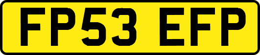 FP53EFP