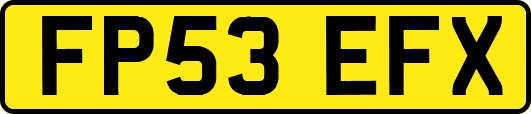FP53EFX