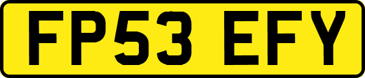 FP53EFY