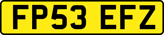 FP53EFZ