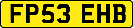 FP53EHB
