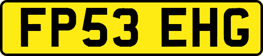 FP53EHG