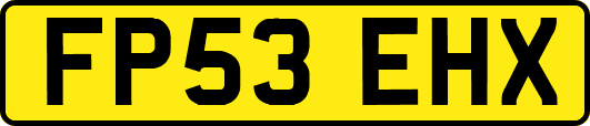 FP53EHX