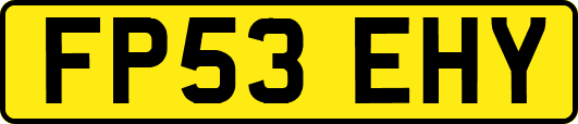 FP53EHY
