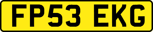 FP53EKG
