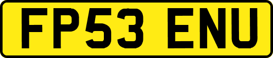 FP53ENU
