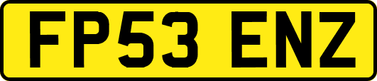 FP53ENZ