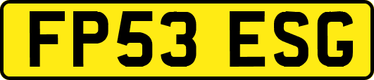 FP53ESG