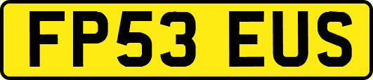 FP53EUS