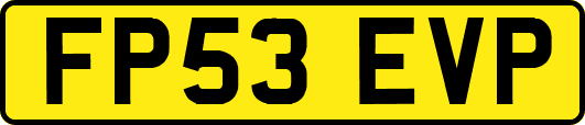 FP53EVP