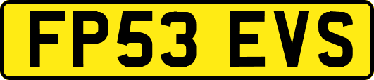 FP53EVS