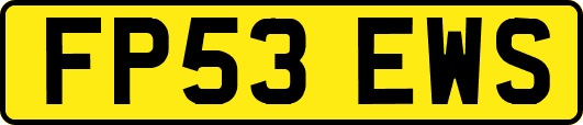 FP53EWS