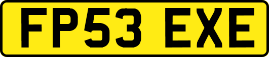 FP53EXE