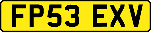 FP53EXV