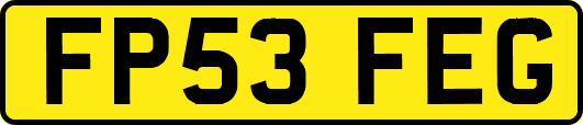 FP53FEG