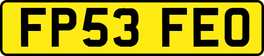 FP53FEO