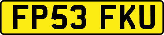 FP53FKU