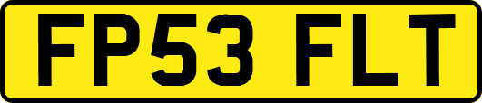 FP53FLT